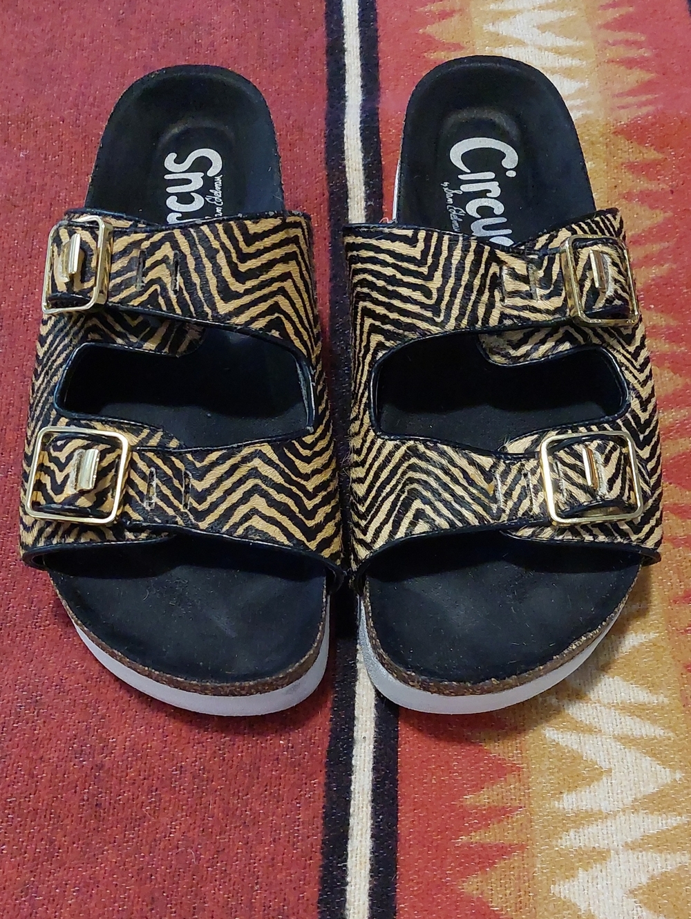 Circus by Sam Edelman  Zebra-Print Slide Sandals in Black and Gold